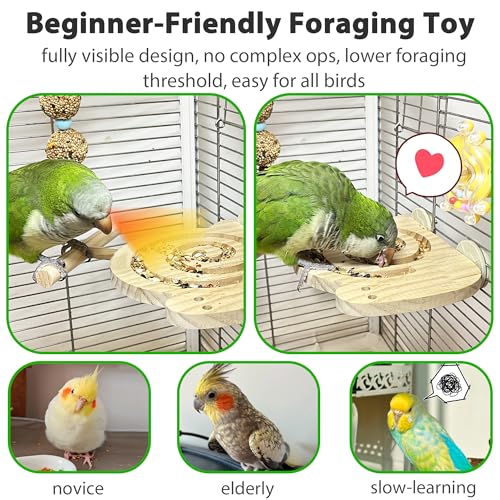 Bird Foraging Toys with Perch, Kiln-Dried Wood Bird Enrichment Toys for Slow Feeder, Parakeet Toy for Cages Reduce Seed Mess, Visible Food Design