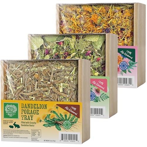 Small Pet Select Forage Tray Bundle, 3 Pack of Foraging Trays for Rabbit, Guinea Pig, Hamster or Bunny - Natural Treats, Dandelion, Flower, Herb Mix