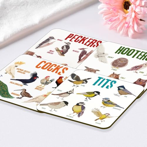 Bird Pun Coasters, Square Funny Coaster Set Coffee Coasters for Bird Lovers Kitchen Decor Housewarming Gifts (4 Pcs)