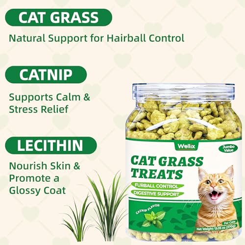 Wellix 13.05oz Cat Grass Treats with Catnip & Salmon - Healthy Cat Treats for Indoor Cats - Hairball Control & Digestive Support - Kittens Training