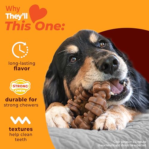 Nylabone Strong Chew Textured Ring Dog Toy Made with Real Beef & Chicken, Durable Chew Toys for Aggressive Chewers, Long Lasting Dog Bone, Keeps Dogs