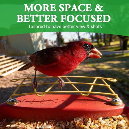 Perch Extender for Bird Buddy Smart Bird Feeders, Durable BirdBuddy Add-on Accessory in Metal