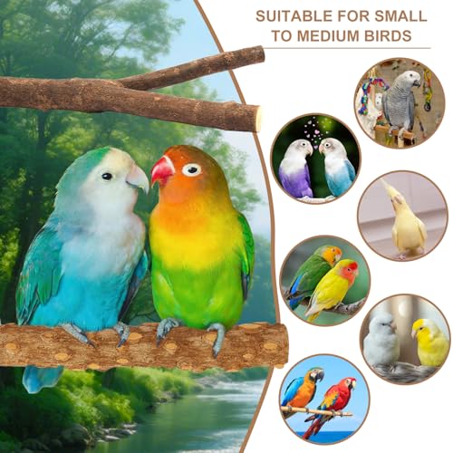 7-Piece Bird Perches for Cage- Wooden Parrot Stand with Fork Toys, Hanging Multi-Branch Platform, Hammock Swing, Gym Playstand & Chewing Toys - for