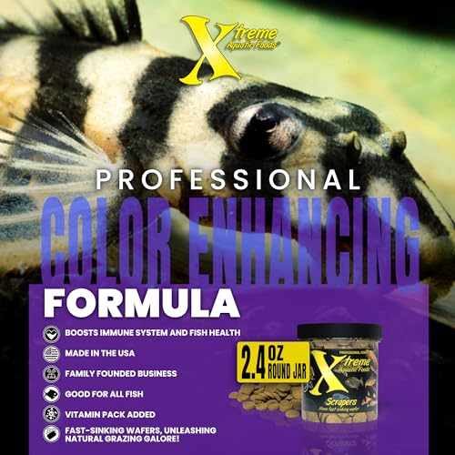 Xtreme Scrapers Wafers - Premium 14mm Fast-Sinking Fish Food – Nutrient & Cellulose Rich Ideal for Nocturnal Feeders, Catfish, Plecostomus Species