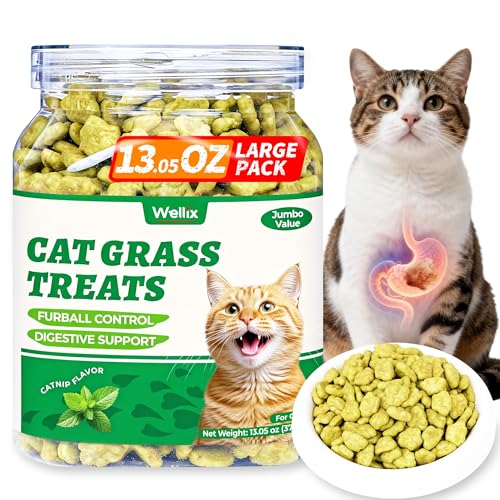 Wellix 13.05oz Cat Grass Treats with Catnip & Salmon - Healthy Cat Treats for Indoor Cats - Hairball Control & Digestive Support - Kittens Training