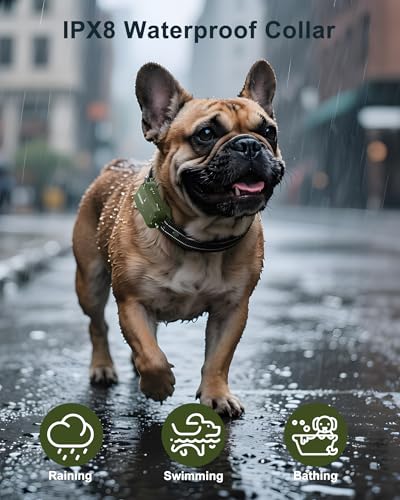 Jugbow Dog Shock Collar - 4500FT Dog Training Collar with Remote, IPX8 Waterproof Electric Dog Collar with 4 Training Modes, Security Lock