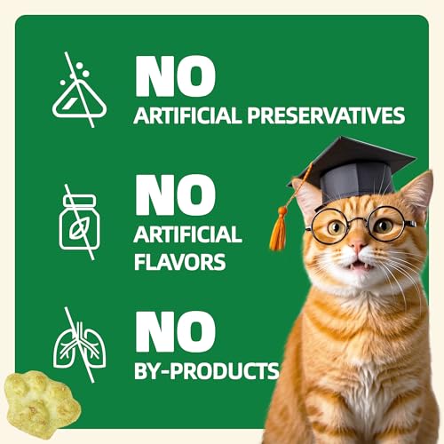 Wellix 13.05oz Cat Grass Treats with Catnip & Salmon - Healthy Cat Treats for Indoor Cats - Hairball Control & Digestive Support - Kittens Training