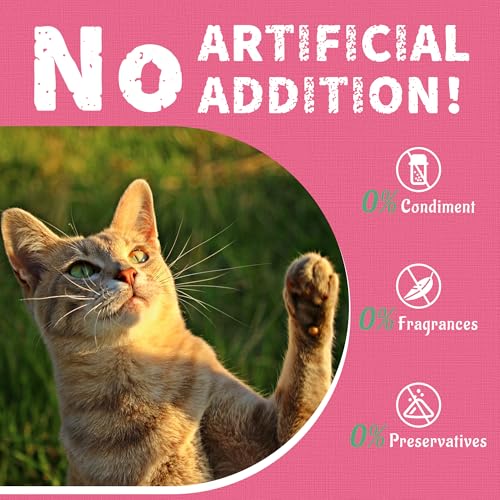 Just Try 13.4 OZ Urinary Tract Health Cat Treats for Indoor Cats, Cranberry & D-Mannose for Kidney Bladder and UT Support, Health Cat Supplement