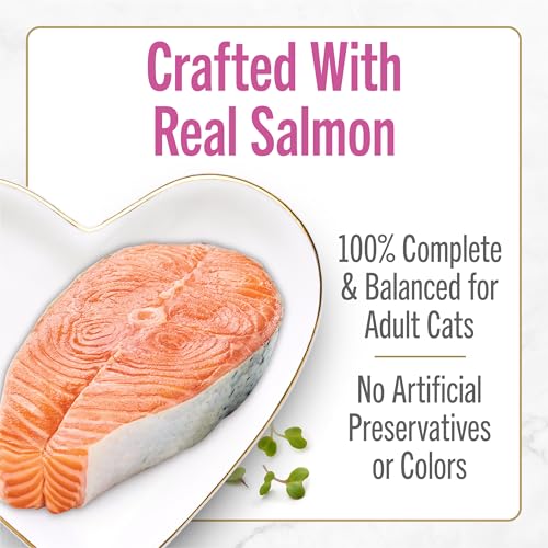 Purina Fancy Feast Petites Seared Salmon Entree With Spinach in Gravy Gourmet Wet Cat Food - (Pack of 12) 2.8 oz. Tubs