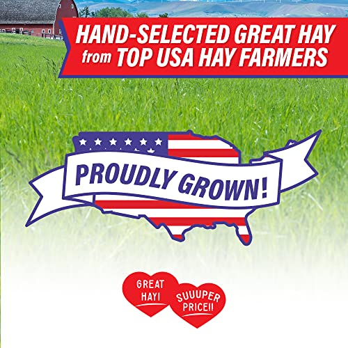 Small Pet Select Value Choice Timothy Hay for Rabbit, Guinea Pig, Bunny, Chinchilla and Other Small Animals, Premium Natural Hay Grown in The US, Pet