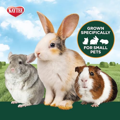 Kaytee First Cut Timothy Hay, High Fiber, Grown Specifically for Small Animals, Rabbits, Guinea Pigs, Chinchillas, 6.5 Pounds