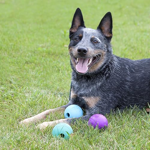 Chew King Fetch Balls Extremely Durable Natural Rubber Toy Pack of 3 - 3 inch Balls (CM-0263-CS01)