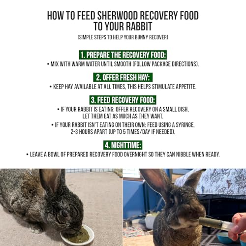 Sherwood Pet Health Rabbit Emergency kit and Bulk Recovery Food (Small kit)