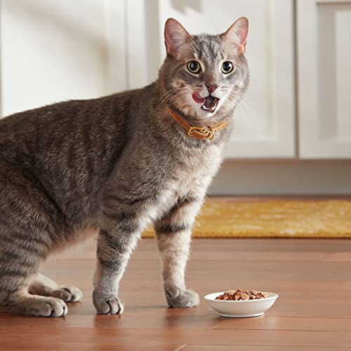 Meow Mix Poultry Selections Variety Pack, Wet Cat Food, 2.75 oz Cup (24 Pack)