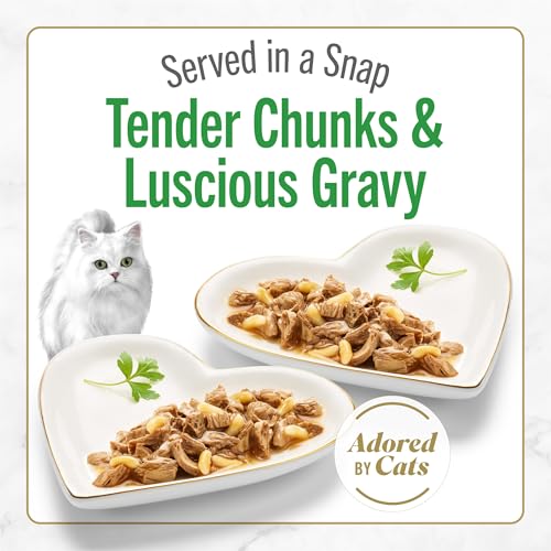 Purina Fancy Feast Petites Grilled Chicken Entrée With Rice In Gravy Gourmet Wet Cat Food - (Pack of 12) 2.8 oz. Tubs