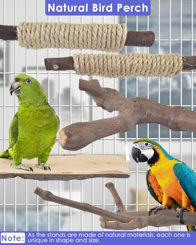 Bissap 5PCS Large Bird Perch Stand, Natural Wood Pole Standing Paw Grinding Fork Parrot Cage Branch with Rope for Macaw African Grey  Pet Medium