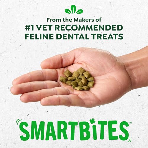 Greenies Feline Smartbites Healthy Kitten Treats for Indoor Kittens, Crunchy and Soft Natural Cat Treats, Chicken Flavor, 16 oz. Tub