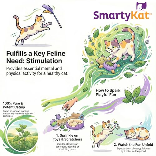 SmartyKat Natural Catnip Canister, 100% Natural Cat Nip for Cats, Premium Dried Catnip for Indoor Cats, Positive Training Aid for Play and Exercise