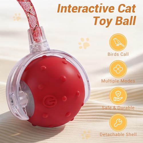 Interactive Cat Ball Toy, Chirping Motion Activated Electric Rechargeable Cat Toy with 2 Replaceable Tails, Self Play Hunting Rolling Indoor Cat Toys