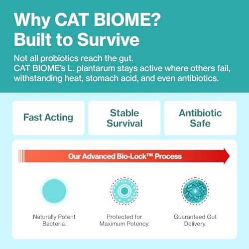 Doctor By Cat Biome Probiotics for cats Anti Diarrhea Feline Gut & Digestive Support Immune Health Sensitive Stomach Constipation with L.