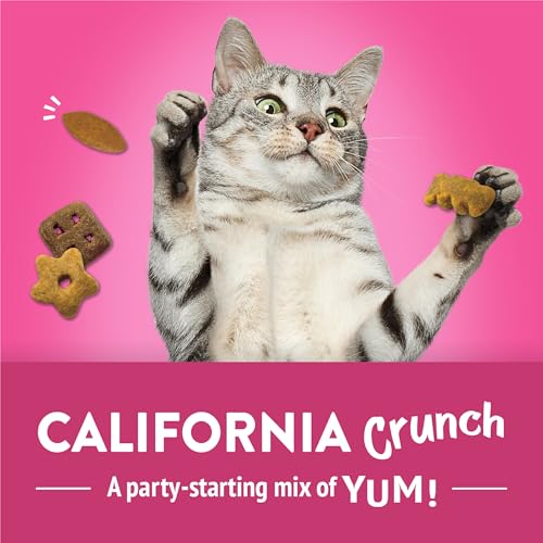 Purina Friskies Party Mix California Crunch with Chicken and Flavors of Turkey and Bacon Cat Treats - 30 oz Canister