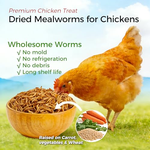 RANZ 2LBS Non-GMO Dried Mealworms for Chickens, High Protein Meal Worms, Premium Chicken Feed, Whole Large Mealworms for Blue Birds, Ducks, Fish