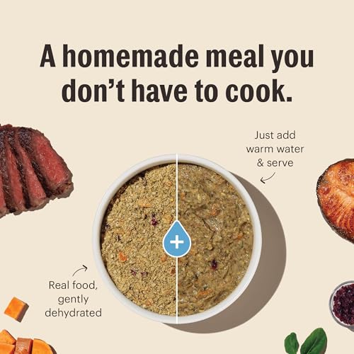 The Honest Kitchen Human Grade Wholemade™ Dehydrated Whole Grain Dog Food - Complete & Balanced Meal or Topper - Chicken 10 lb Box