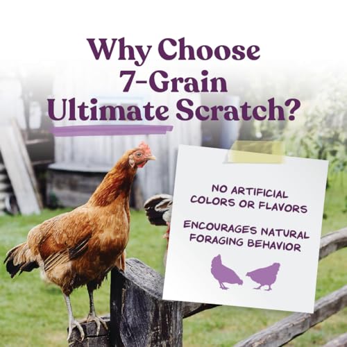 Manna Pro 7-Grain Ultimate Chicken Scratch – Non-GMO Scratch Grain Treat for Chickens, Hens and Other Birds – Natural Multigrain Blend for Poultry