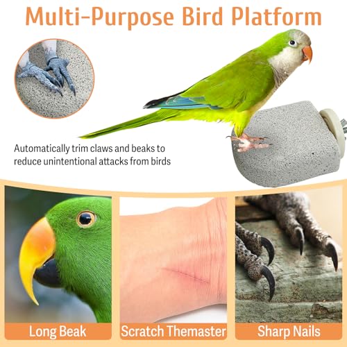 PINVNBY 4 PCS Bird Perch Stands Parrot Calcium Perch Beak Grinding Stone Foot Claws Trimmer Parakeet Platform Parrot Chewing Toys for Small Medium