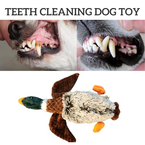 Duck Dog Toy Squeak Toys | Mallard-Shaped | Shaped Pet Toys | Duck Dog Toys for Large Dogs | Mallard Dog Toy | Dog Chew Toys | Stuffed Toys