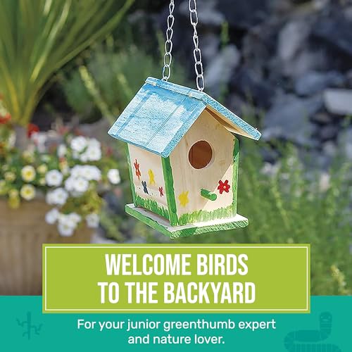 Beetle & Bee Build A Bird Bungalow - DIY Kid Art Craft Outdoor Birdhouse Kit, House Painting Kit for Kids, Hardware Glue Included- 4 Paints, 1 Brush
