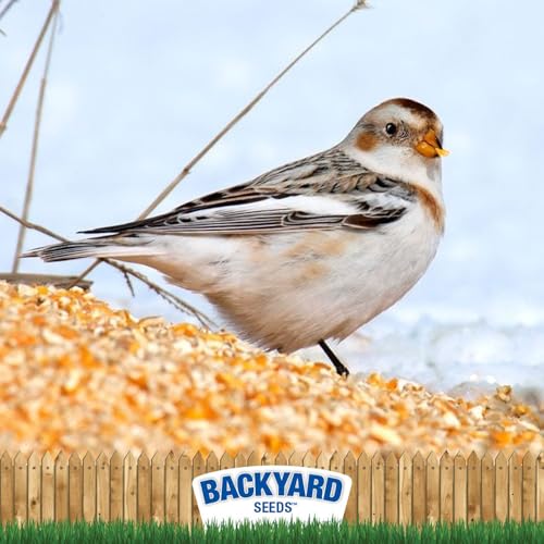 CountryMax Backyard Seeds Cracked Corn 50lbs - High-Energy Animal Feed for Chickens, Squirrels, Deer & Wild Birds, Ground Feeding, High Protein