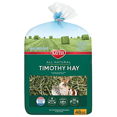 Kaytee Timothy Hay, High Fiber, Grown Specifically for Small Animals, Rabbits, Guinea Pigs, Chinchillas, 48 Ounces