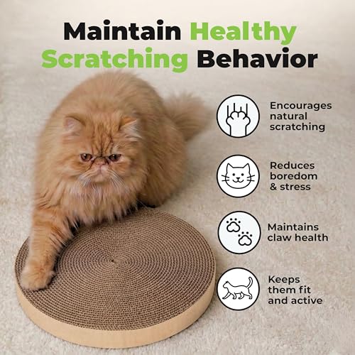 Best Pet Supplies Catify Cat Scratcher, Fun Interactive Scratchers, Posts, Poles, Claw Safe, Furniture Saver Indoor Play Support Natural Cat