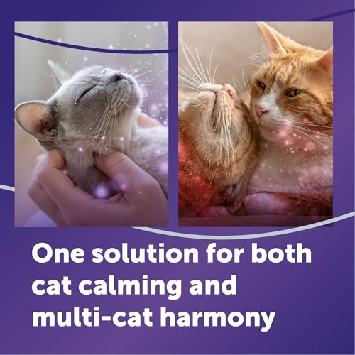 FELIWAY Optimum Cat Calming Diffuser Refill (3 Pack, 90 Day Supply) – Cat Pheromone Diffuser Refill for Advanced Support to Reduce Stress, Spraying