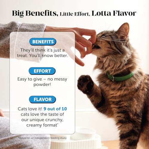 Cat Skin & Coat Health Chews – Crunchy & Creamy Treats with Omegas, Vitamin C & E, Biotin – Soothes Itchy, Dry Skin, Reduces Shedding & Promotes a