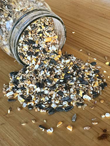 Ernst Grain & Livestock's Bird and Wildlife Feed – Perfect for Birds, Ducks, Squirrels, Turkeys, Rabbits, Geese, and Deer – Non-GMO Wild Animal