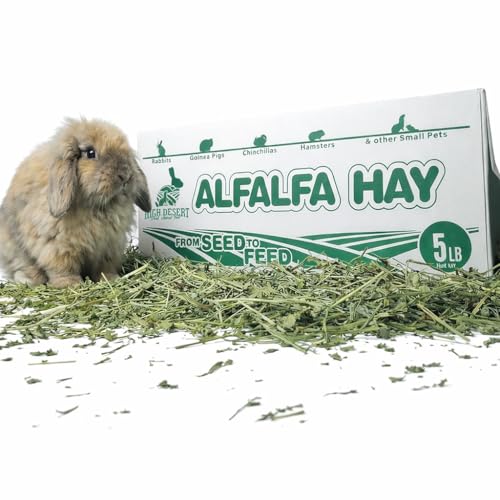 High Desert Alfalfa Hay, Protein Rich Soft Leaf Food for Young Growing Animals, Natural Rabbit Food and Guinea Pig Hay, Supports Digestive Health