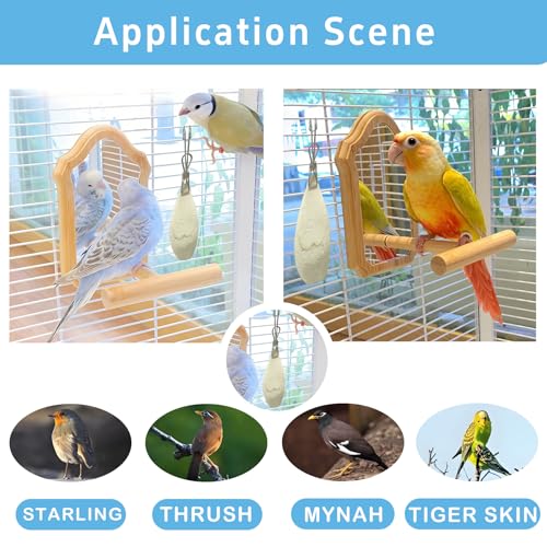 Jmxu's 3.5"-4" Cuttlebone for Birds Parakeets, Cuddle Bone with Metal Clip, Cuttlefish Bone for Sharp Beaks, Natural Birds Calcium for Parrots