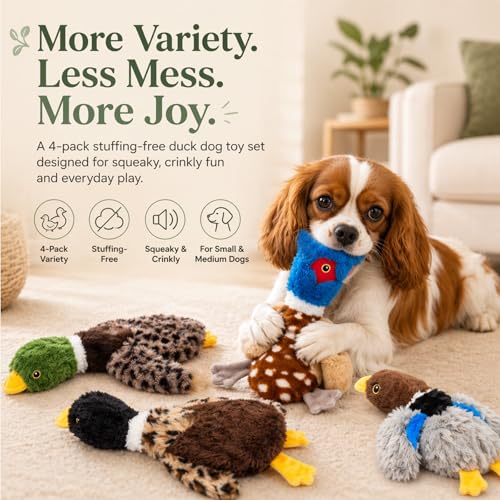 Dog Squeaky Toy Set – 4-Pack Durable Plush Duck, Pheasant, Goose for Small and Medium Dogs – Soft Bird Chew Toys with Crinkle Sound for Puppy Play