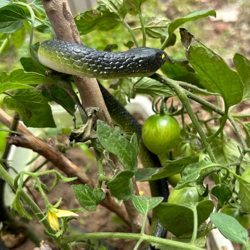 Fake Snake Soft Rubber Snake Toy, 4 Pieces Realistic Plastic Snakes for Garden to Keep Birds Away, Novelty Toys for Playing Jokes Prank Stuff Props