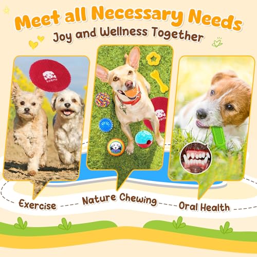 KIPRITII 25 Pack Various Dog Toys Set – Ideal for Teething, Entertainment & Interactive Play, Includes Puppy Toys, Rope Toys, Treat Balls and Squeaky