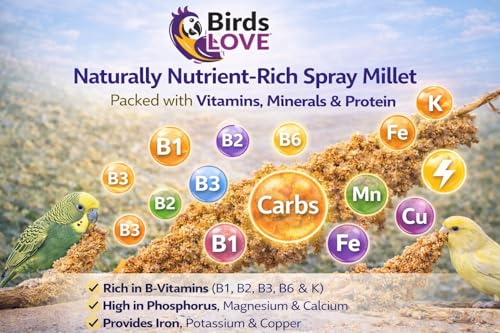 Birds LOVE Millet Tips & Tails for Birds - Parakeets, Cockatiels, Lovebirds, Finches, Budgies, Canaries, Cockatoos - Natural & Healthy Millet for