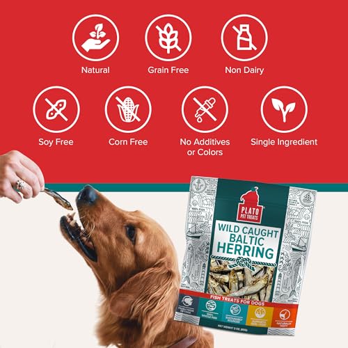 Plato Pet Treats Fish Dog Treats - Air-Dried, Single Ingredient Pet Treat - Omega 3 & 6 Fatty Acids to Support Skin and Coat - 100% Whole Fish - Wild