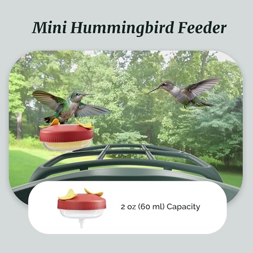 Complete Bird Feeder Accessory Kit DIY Add-Ons Including Mini Hummingbird Feeder, 2 Fruit Holders, Jelly Feeder, Compatible with Kiwibit Smart Bird