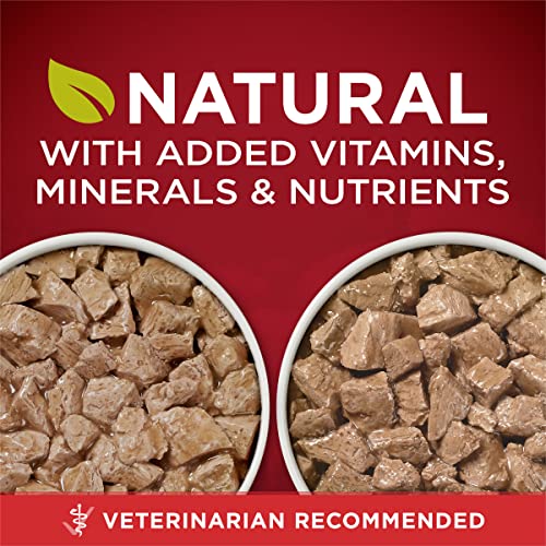 Purina ONE True Instinct Tender Cuts in Gravy with Real Turkey and Venison, and with Real Chicken and Duck High Protein Wet Dog Food Variety Pack