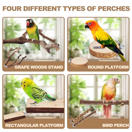 6-Piece Bird Perch Set - Natural Wood Grape Sticks, Paw Grinding Forks, Bird Stand & Toys for Parakeets, Cockatiels, Conure, Budgies