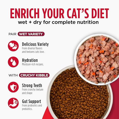 Nulo Freestyle Cat & Kitten Dry Food - Chicken & Cod Recipe, High Protein Grain Free Cat Food, Natural Kibble with Probiotics & Omega Fatty Acids