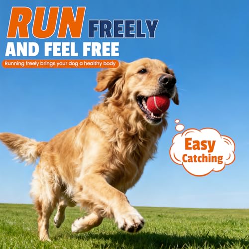 FURWEY Tennis Balls for Dogs 16 Pack,2.5 inches,Durable and Non-Toxic Dog Toys Balls with Mesh Bag,Colorful Fetch Toys Balls for pet Dog (Non Squeaky)