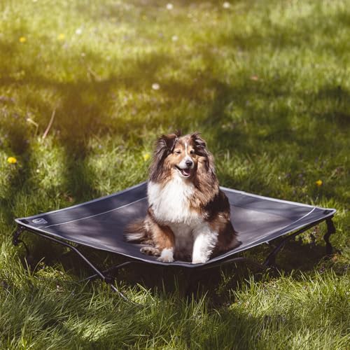 TIMBER RIDGE Outdoor Dog Bed, Cooling Elevated Pet Bed Portable Raised Dog Bed with Breathable Mesh, Dog Bed Foldable Dog Cot for Indoor & Outside